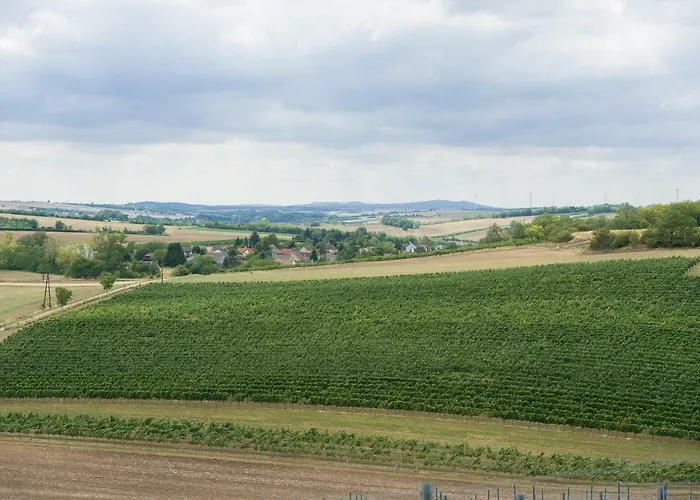 Nitsch - Gaestehaus Nitsch Apartament *