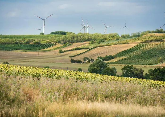 Nitsch - Gaestehaus Nitsch * Prinzendorf an Der Zaya