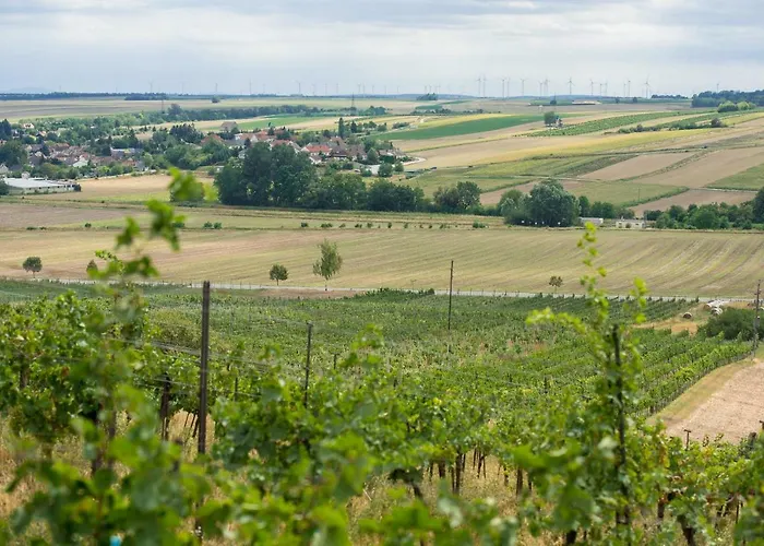 Nitsch - Gaestehaus Nitsch Apartament